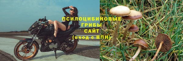 герыч Горняк