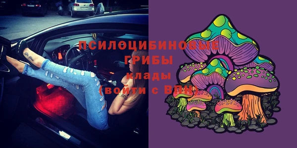 крисы Белокуриха