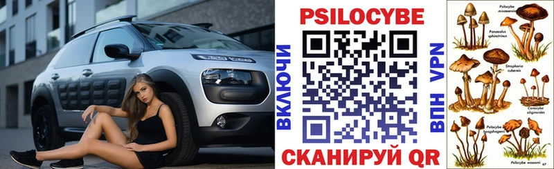 Псилоцибиновые грибы мицелий  блэк спрут маркетплейс  Мураши  где найти  